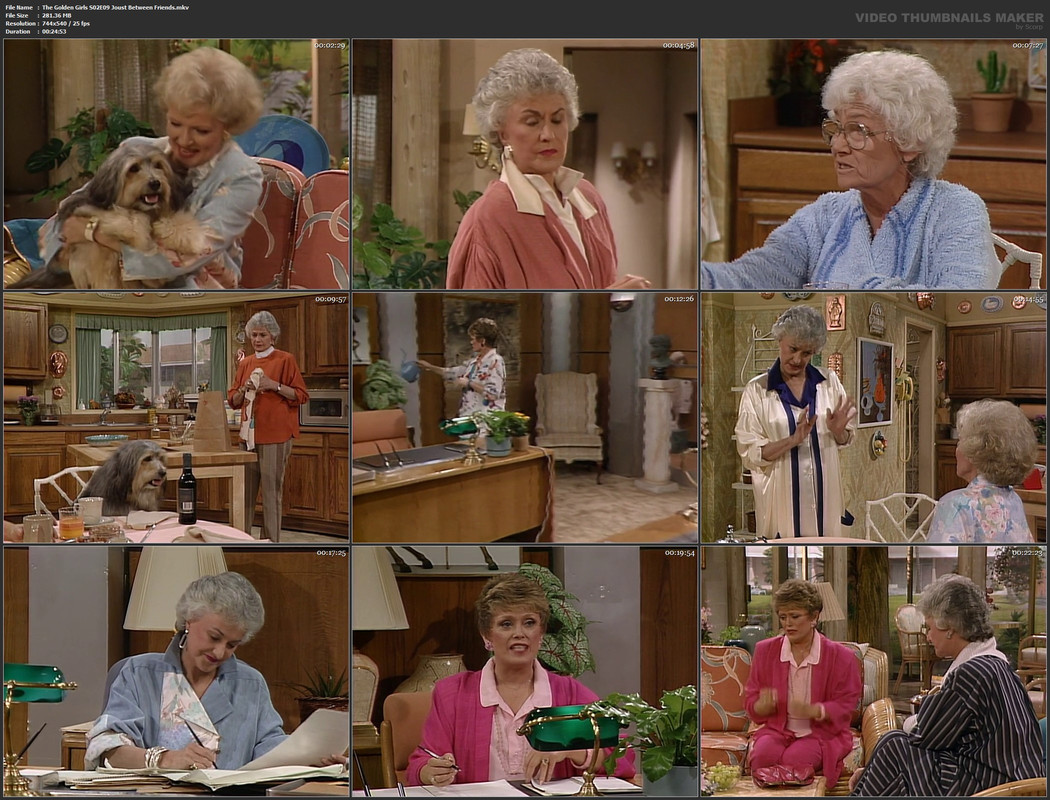 The Golden Girls S02E09 Joust Between Friends.mkv