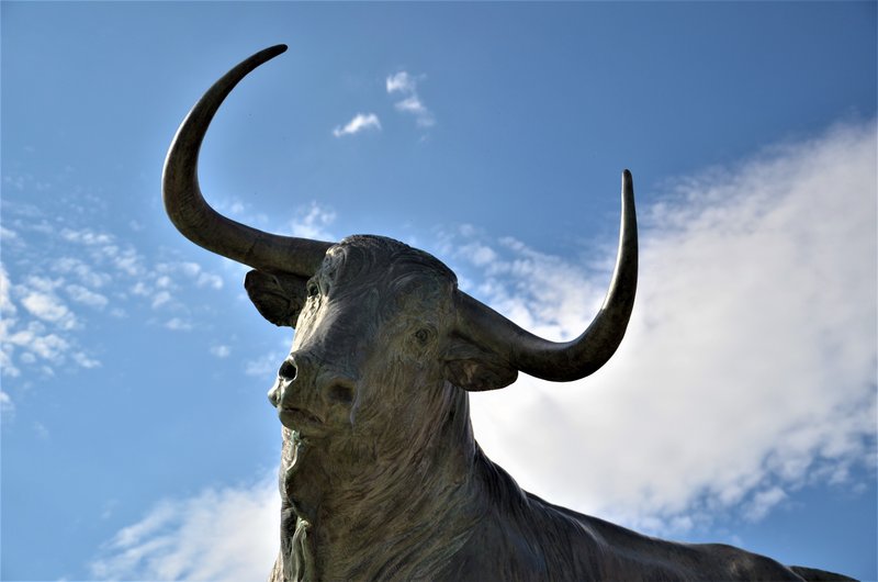 TORDESILLAS-5-6-2016 - Valladolid y sus pueblos-2012/2016 (5)