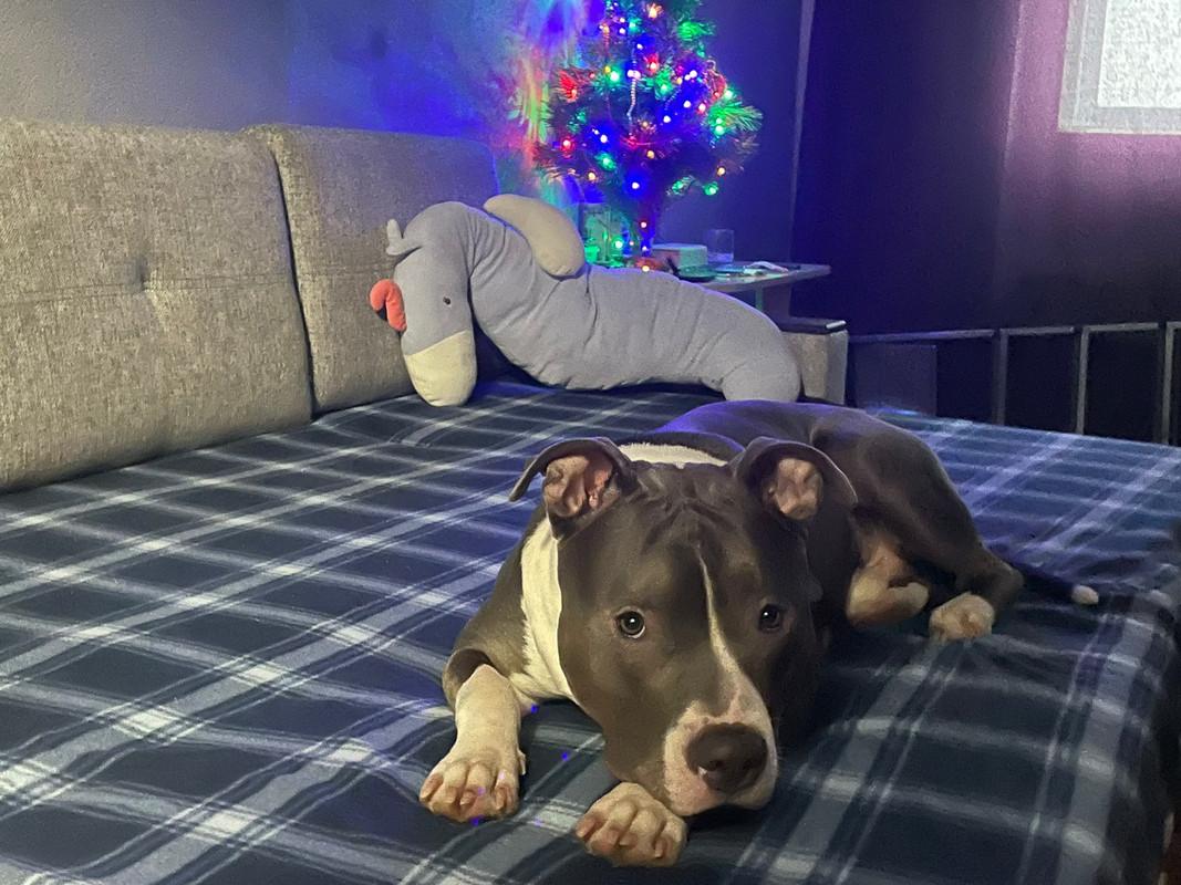 5B47EF3D-1337-46FA-B7EF-4B3015EE13A7