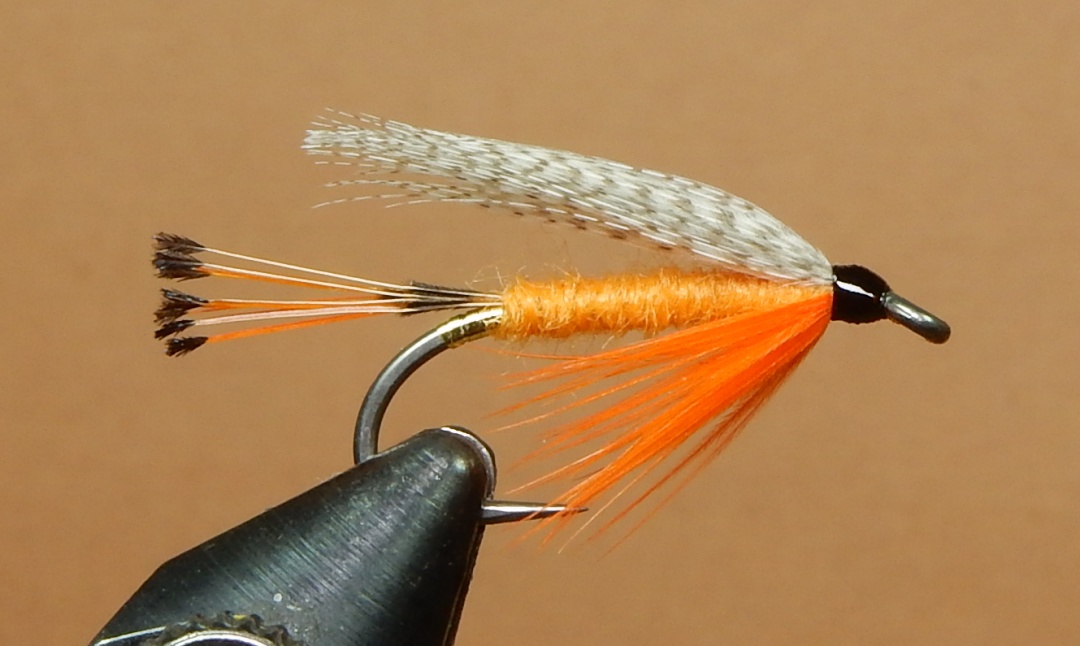 Wilson-Bergman-1080.jpg