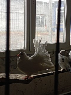 IMG-20221106-135730