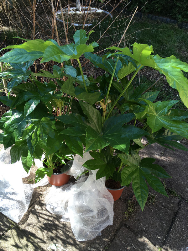 9973579F-A3F6-4FCC-A0BE-C3D3CAC8030B