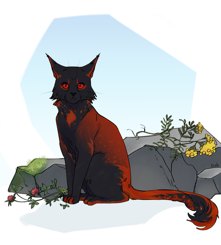 Типа Мора пр