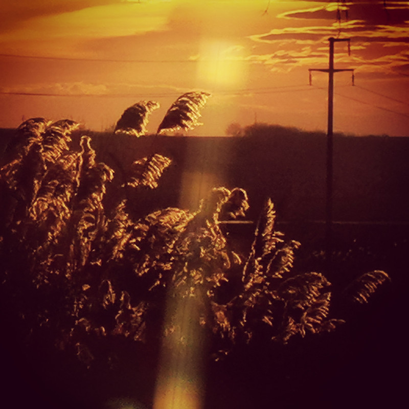 IMG-20201204-172538-277.jpg
