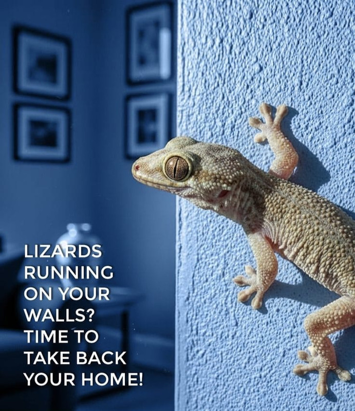 lizard repellent service A1