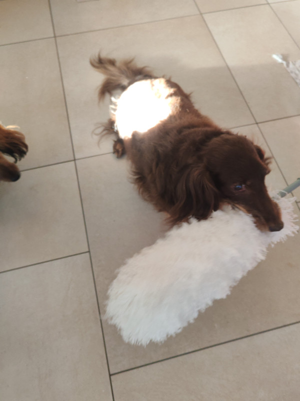 [Image: IMG-20251212-094607.jpg]