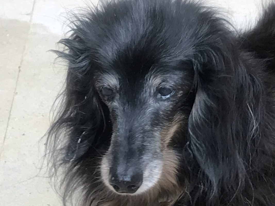 [Image: 43-D77-C91-C2-AB-438-F-B00-B-AFC14-A5138-DF.jpg]