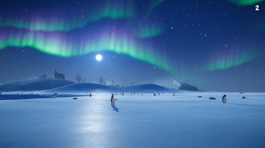 353533.jpg