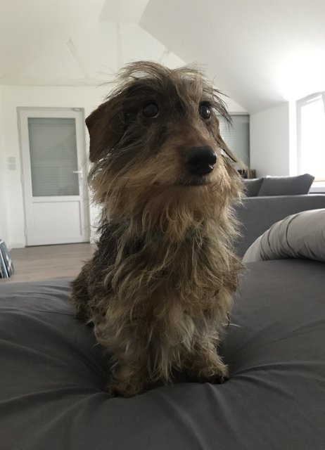 [Image: 1-AC556-ED-F9-BC-4251-9-E6-B-14-CA5002-E66-F.jpg]