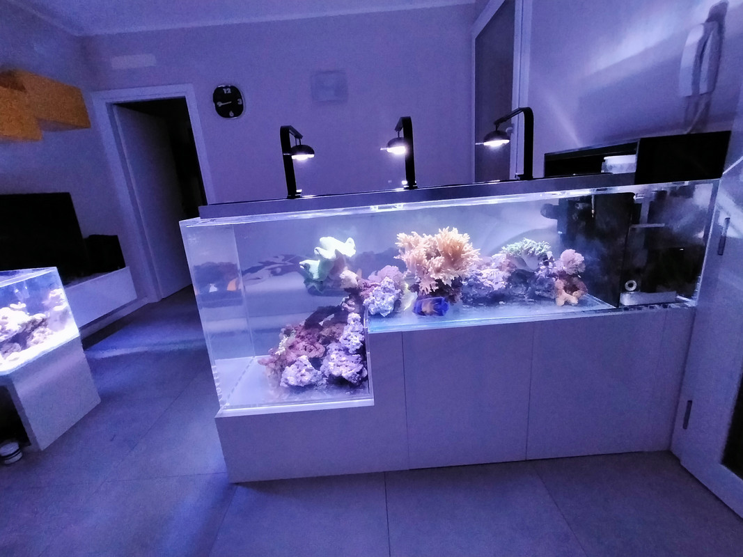 D87F39B7-418D-4631-A496-90FB30A33EB5