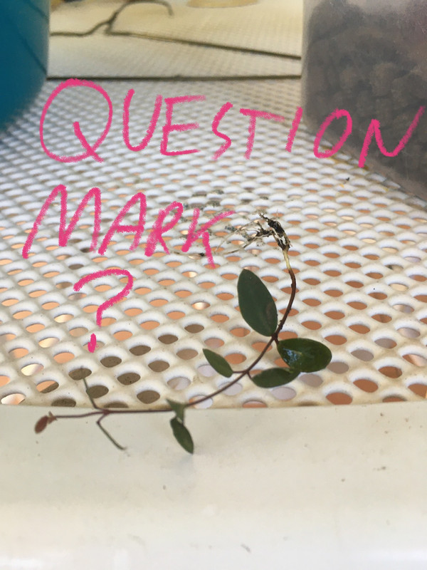 A4430408-76D8-41FA-9ACF-9296B991C2A9