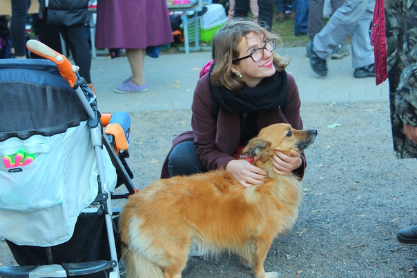 16E0D431-F81E-4742-8776-8DDB7DDD84FA