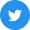 twitter.com icon