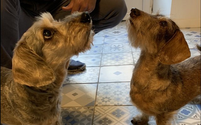 [Image: 47-FD9202-131-D-4268-A429-A029745-B17-F6.jpg]