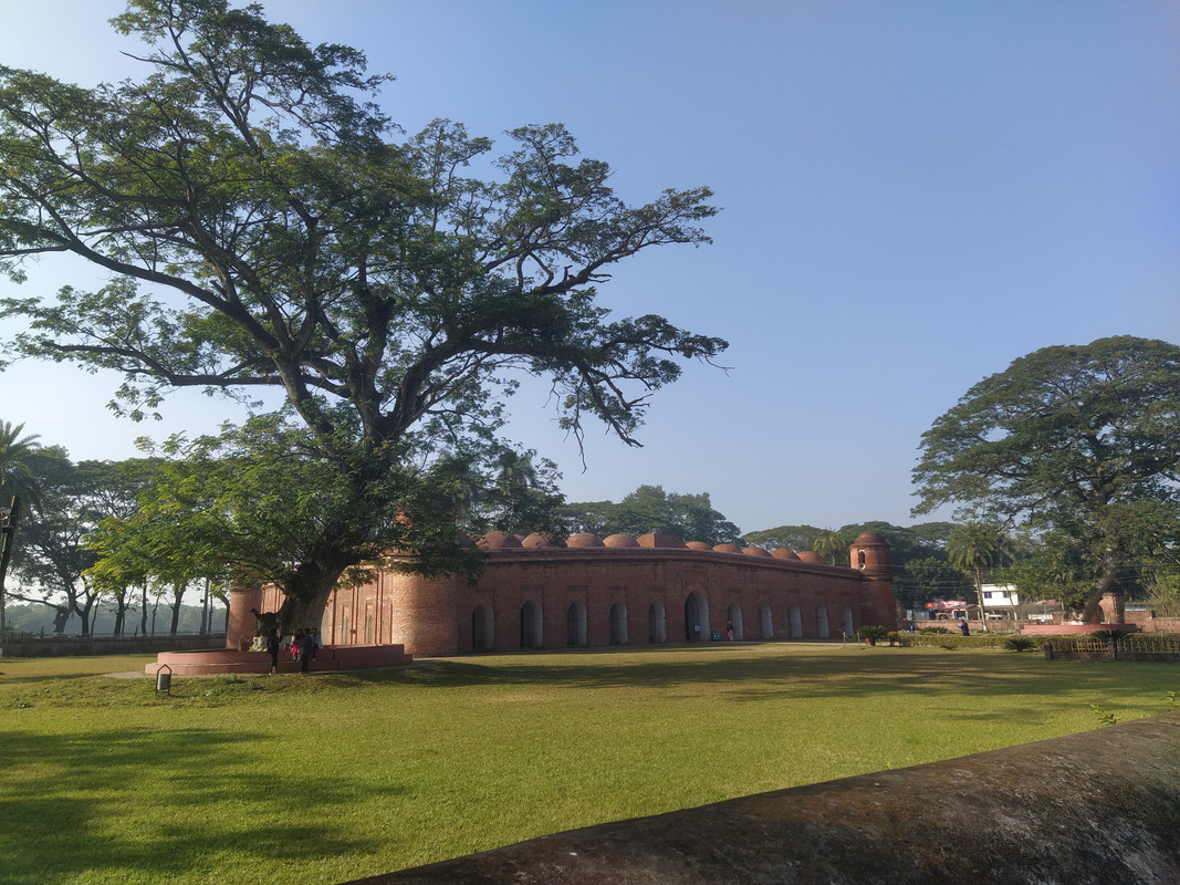 Бенгальский фьюжн с коровами на деревьях, или Бангладеш в обрамлении двух Индий