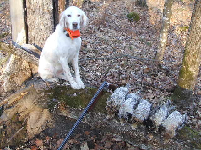 B76A7A8F-2E9E-4D0C-9908-9861D9F67FB7