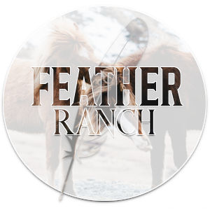 featherranch.png