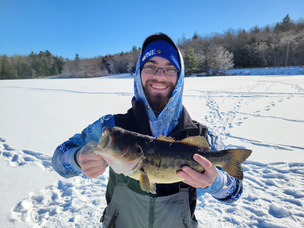 Plainfield Bass 2024