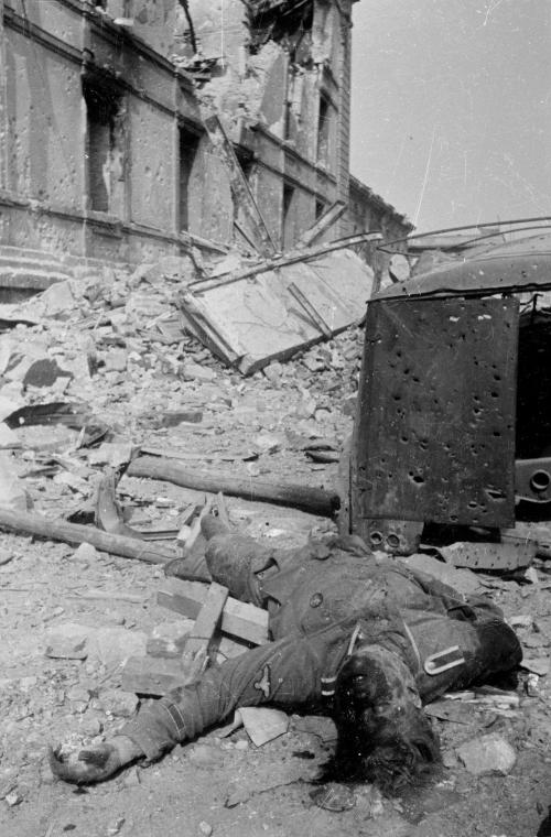 s-782f175cec47c6a7595a3640e3d12dc5_B-001