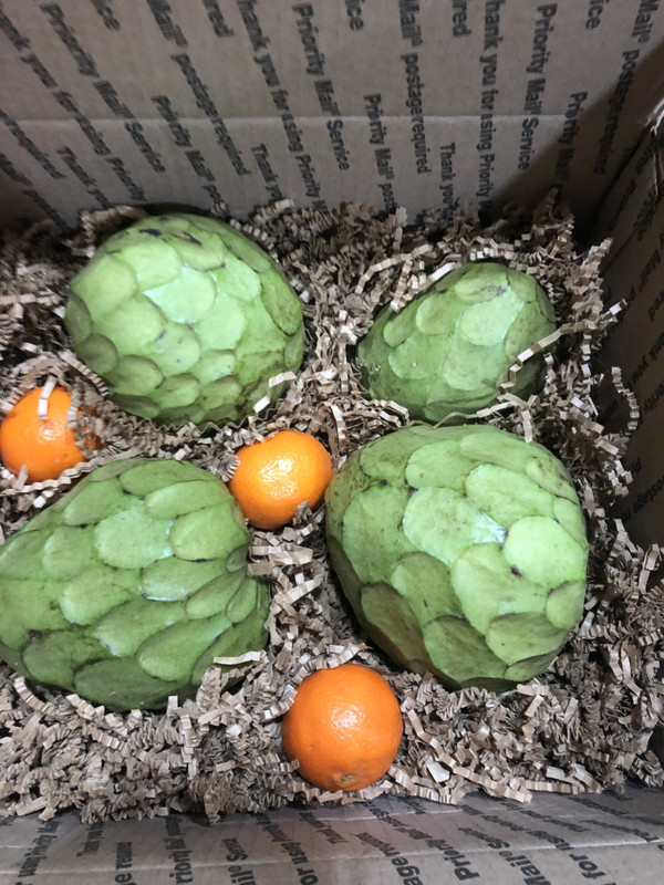 FFF2BEC2-1158-4E45-9FD8-0927D4A19FAB