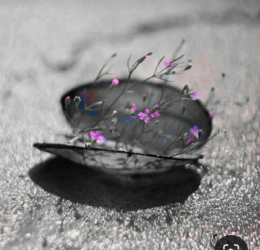 Screenshot_20230702_182059_Pinterest