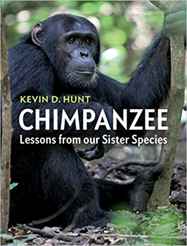 Chimpanzee  Lessons from our Sister Species