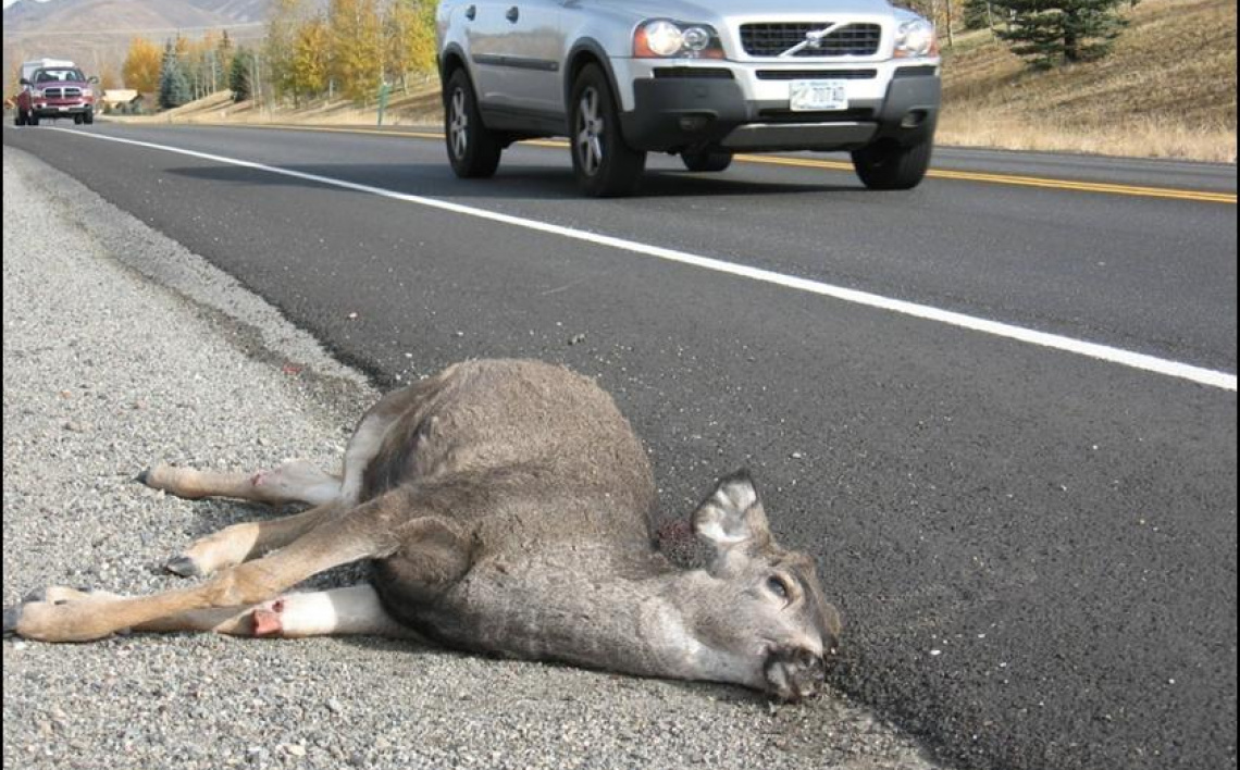 9586A42A-5952-4878-BA23-84729B57B054