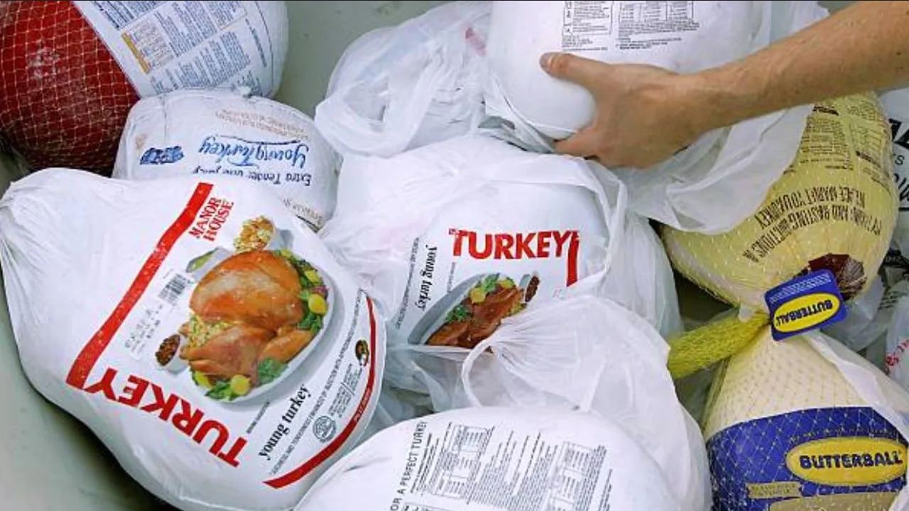 Gripe aviar en EU limitará la importación de pavos a México: Comecarne