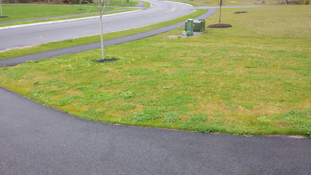 20140427_122612_resized