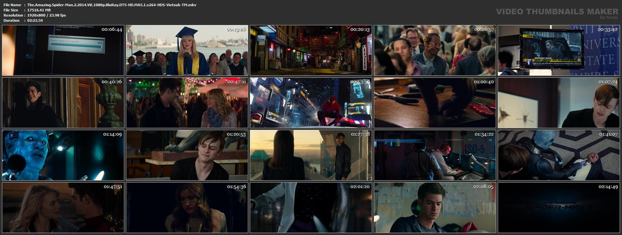 The-Amazing-Spider-Man-2-2014-Vi-E-1080p-Blu-Ray-DTS-HD-MA5-1-x264-HDS-Vietsub-TM-mkv.jpg