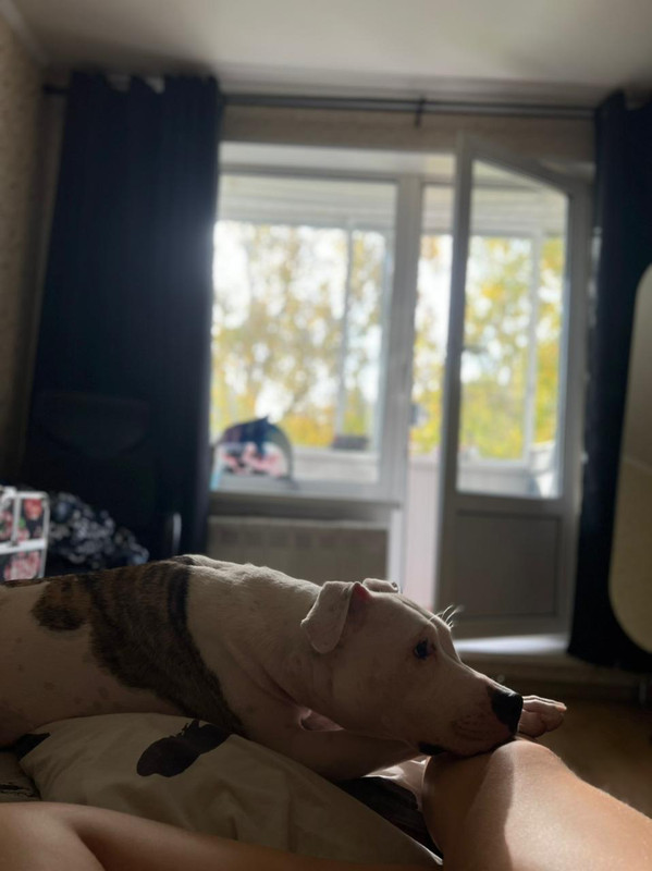 16CF4681-CF1F-482F-BB01-BCAADC5120AB