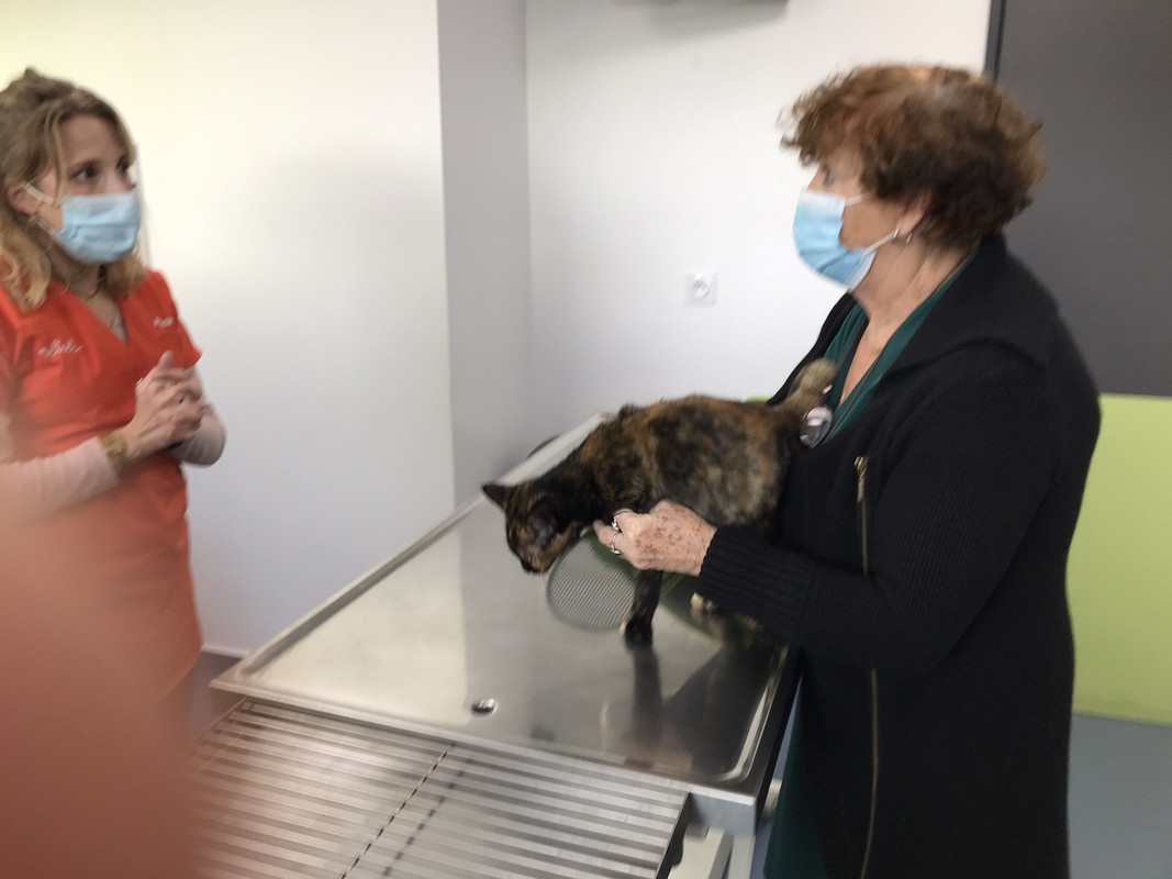 5A074C2D-1B80-46A9-8B67-A9E77CDDDFD9