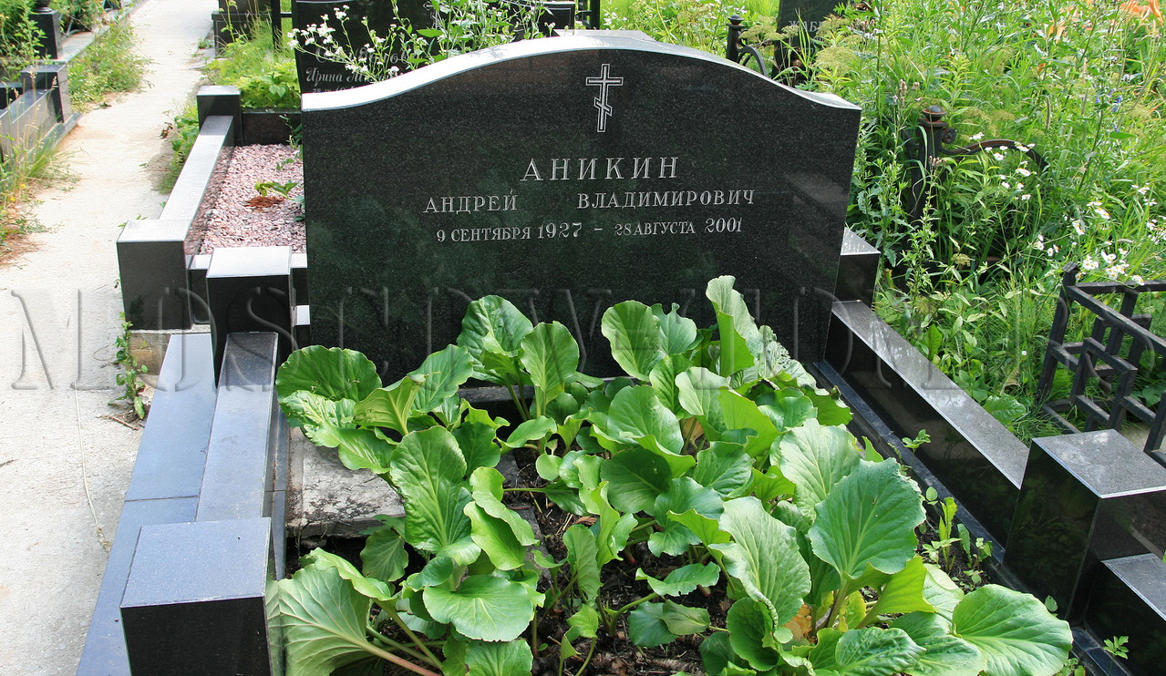 anikin-av