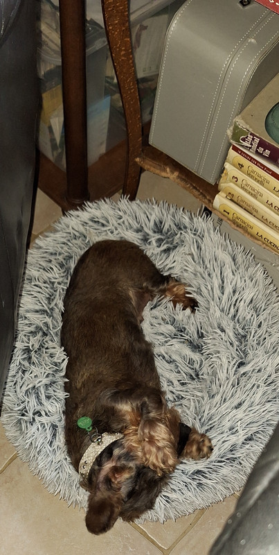 [Image: 20240503-154209.jpg]