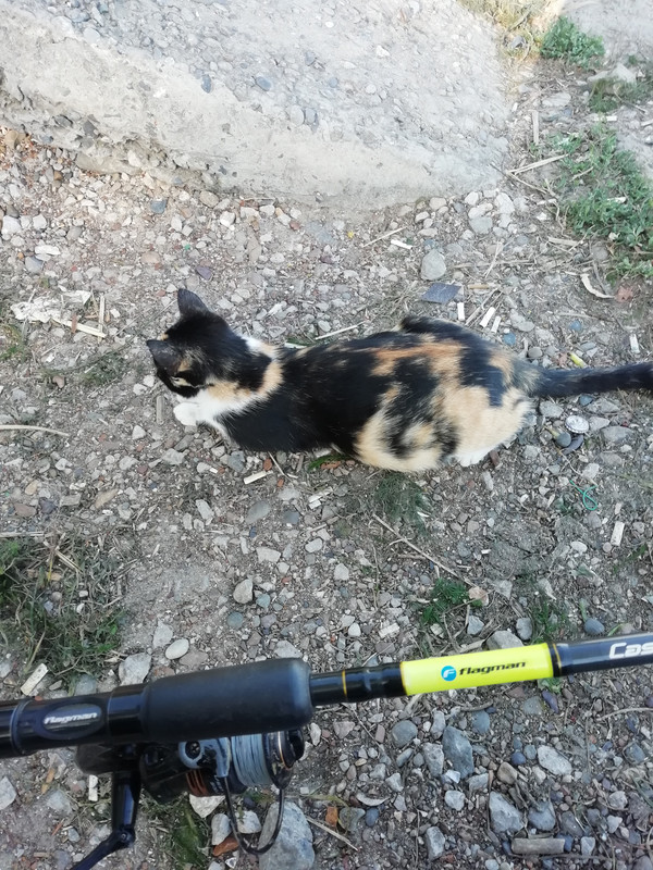 Изображение 1771