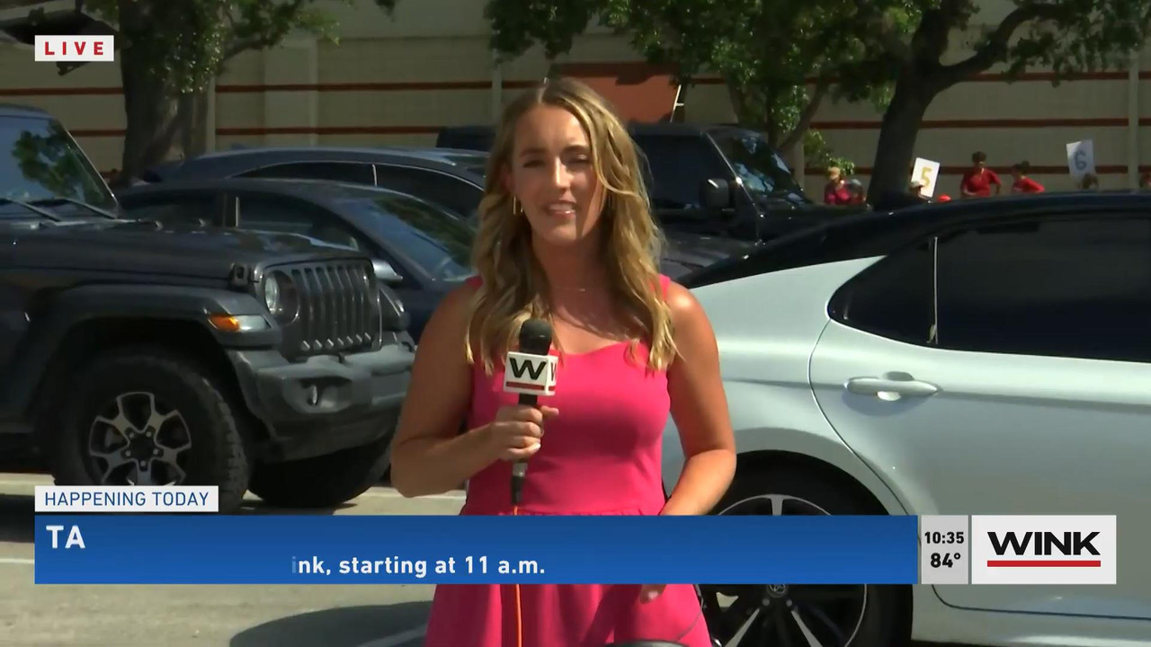 07.25 - 14.00.00 - WINK News at 9 00 a.m. Sunday. News.ts_snapshot_08.40_[2021.07.25_15.46.32]
