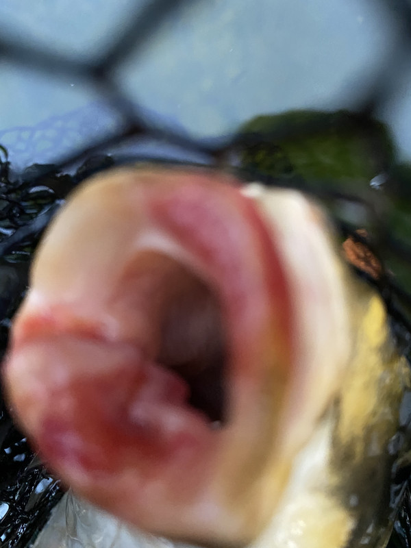 4C5746E1-7BBF-4A2E-A93F-2EFB8F60A705