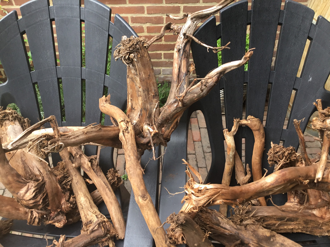 42DCBEFF-571E-41AB-ADED-139951BF3F49