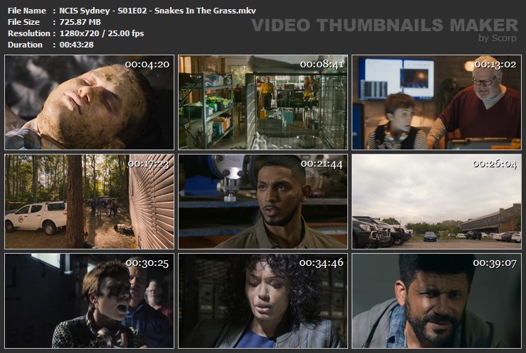 NCIS Sydney - S01E02 - Snakes In The Grass.mkv