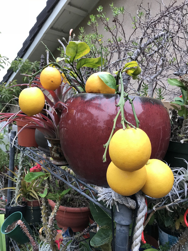 4E3DFA58-A69C-4E76-B27E-5B8CE0AE6BDE