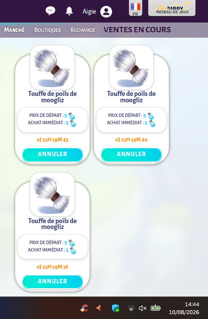 https://i.postimg.cc/6qJL7nKQ/Capture-d-ecran-2026-08-10-144434.png
