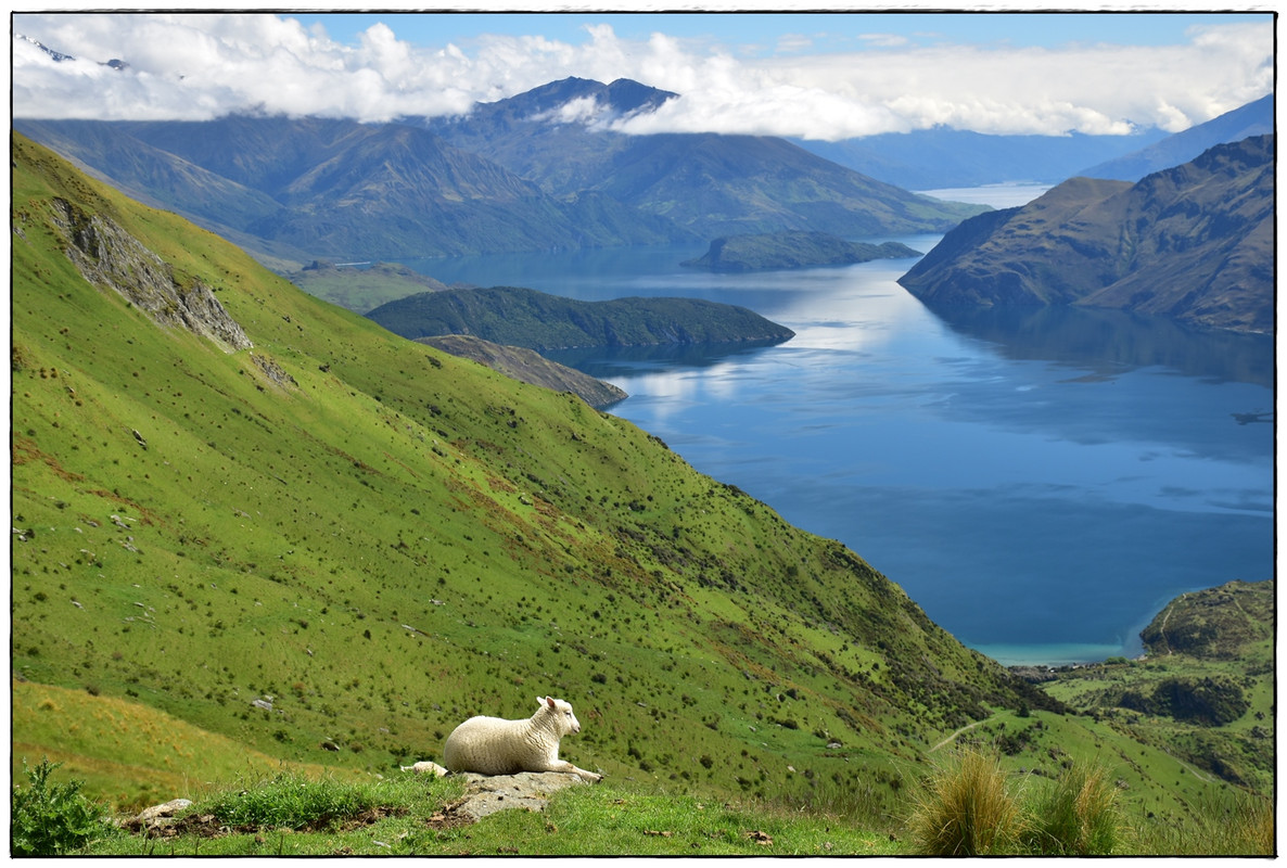 Wanaka: Roy’s Peak (diciembre 2021) - Escapadas y rutas por la Nueva Zelanda menos conocida (2)