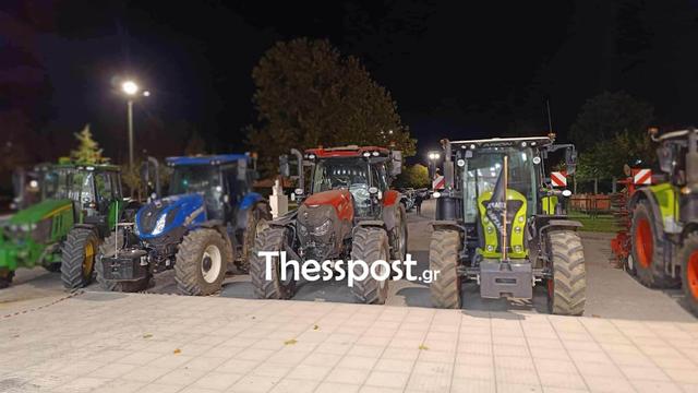 agrotes5