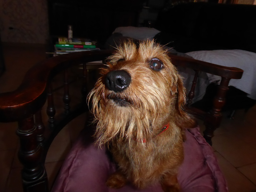 [Image: P1050344.jpg]