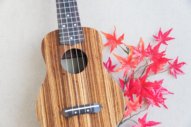 strings for the ukulele