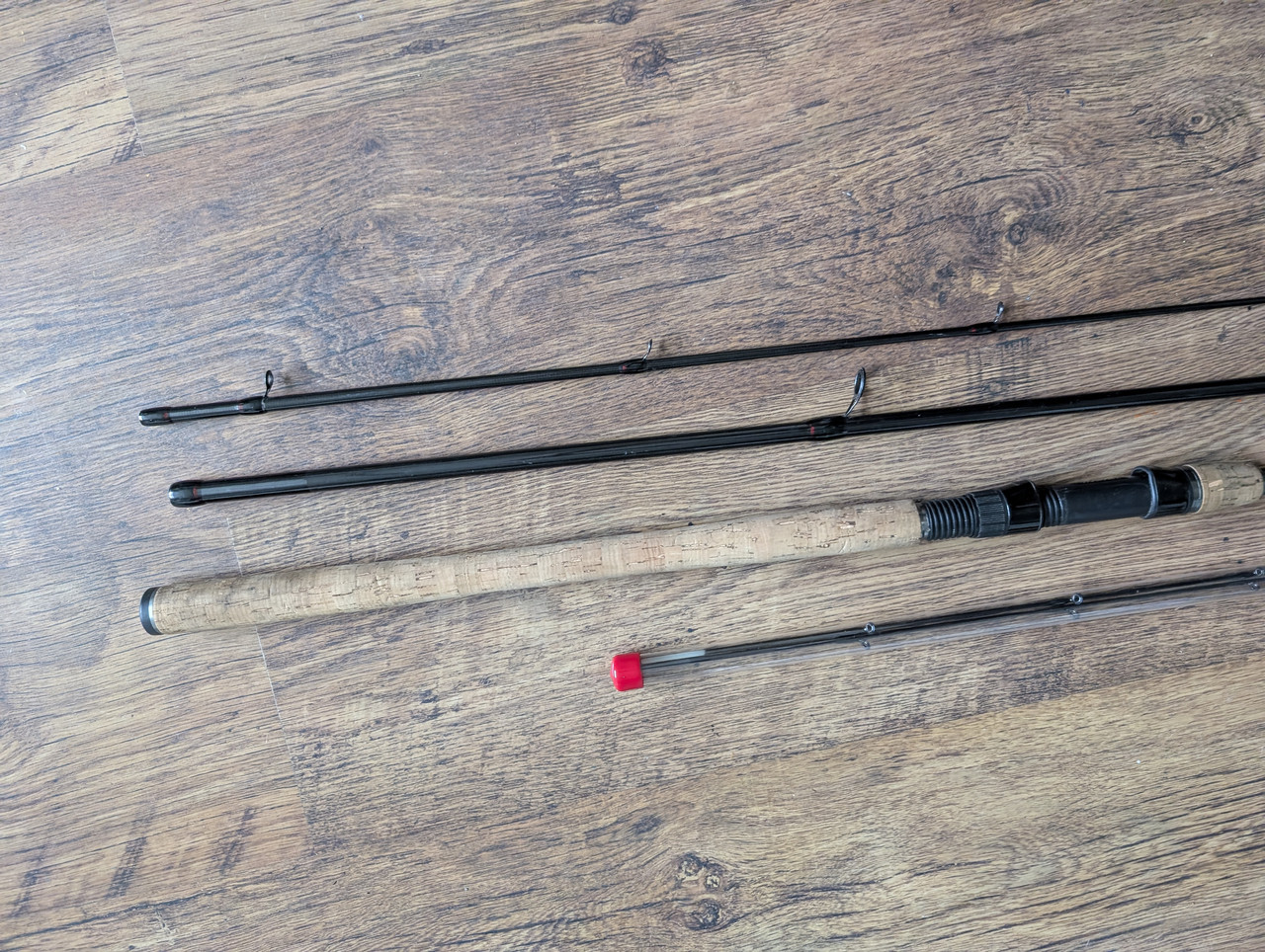 PXL 20260213 115619019