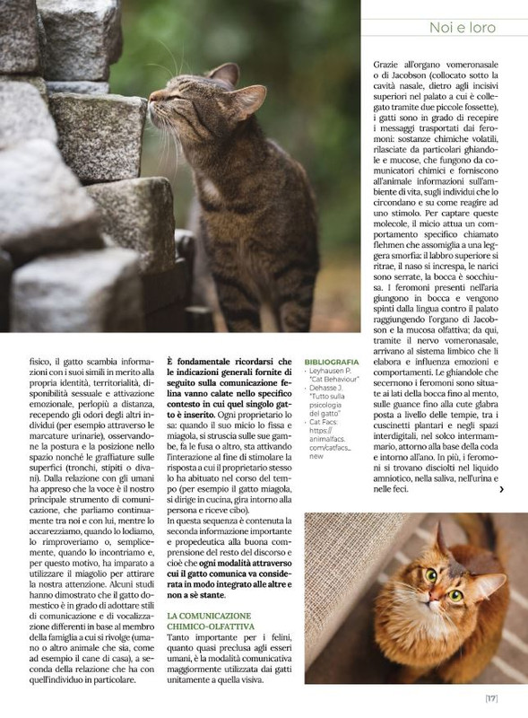 Ga Ma Apr-Mag 2022 (2)