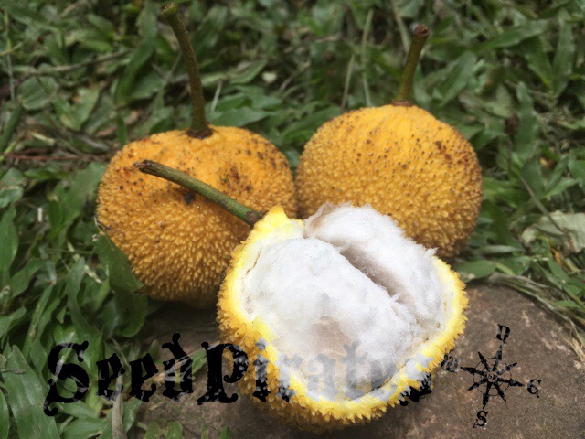 3F91B94A-554A-4AC4-8011-958FC0C6FFA6