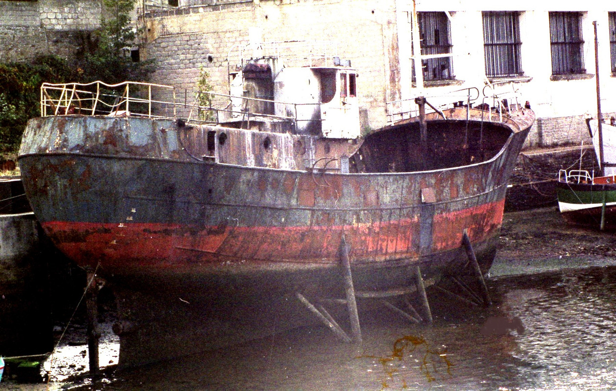 117703879_2909740949132476_6818738435904797697_n