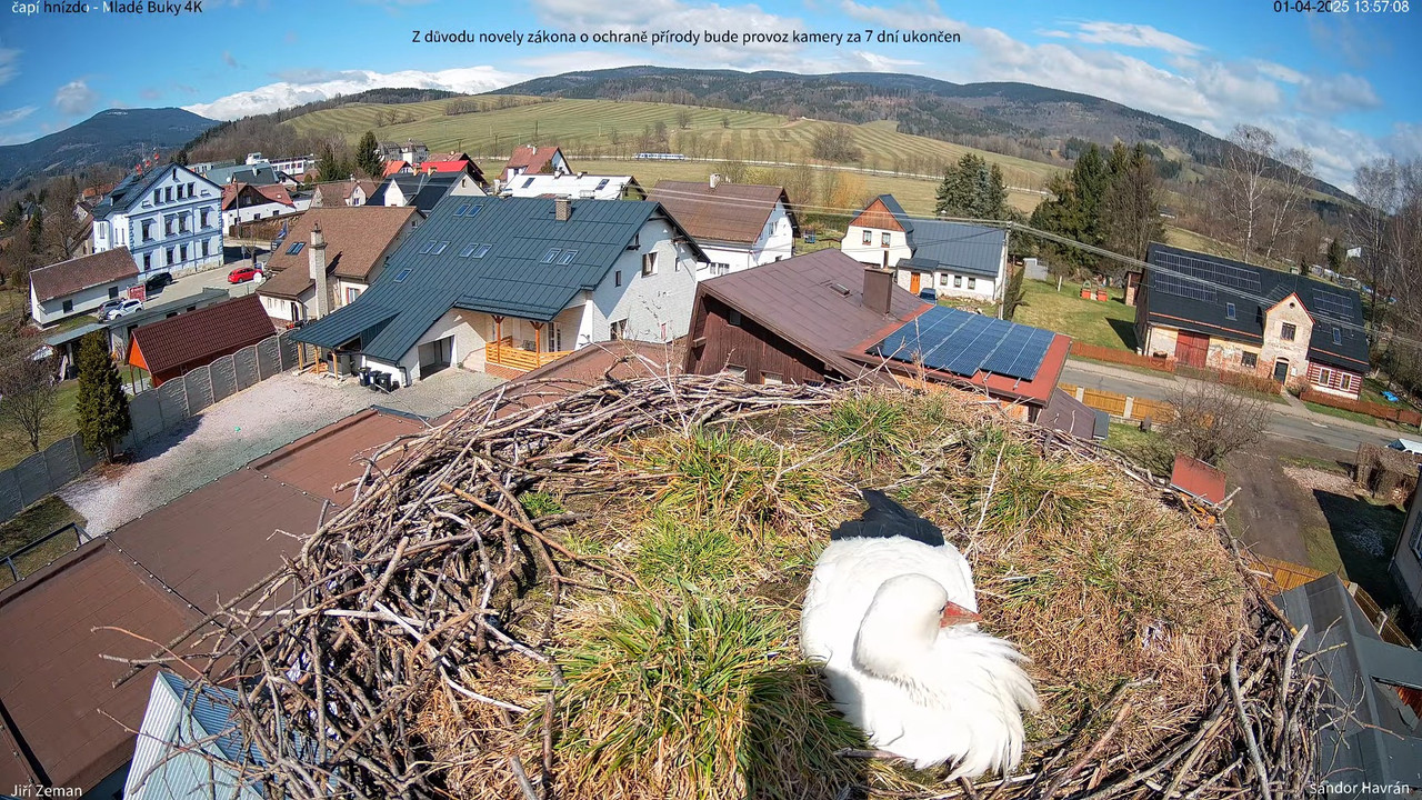 Tiešraides kamera — Mladé Buky — stārķa ligzda 4K 16-47-45 screenshot